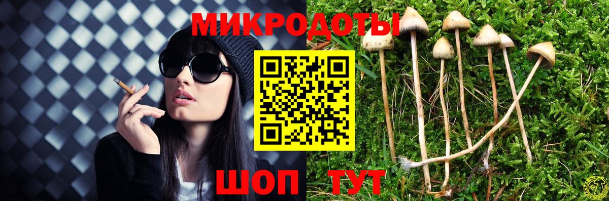 Волгоград  Галлюциногенные грибы GOLDEN TEACHER  Вход с VPN 