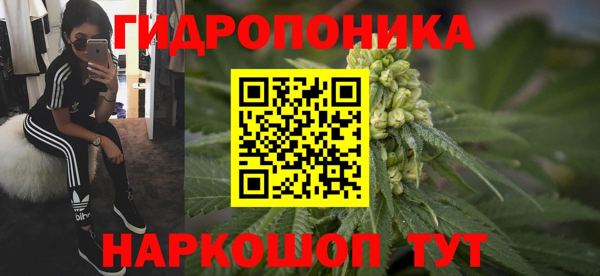 Шишки марихуана ГИДРОПОН  Вход с VPN  Канабис семена  Волгоград  Бошки марихуана семена  Канабис VHQ 